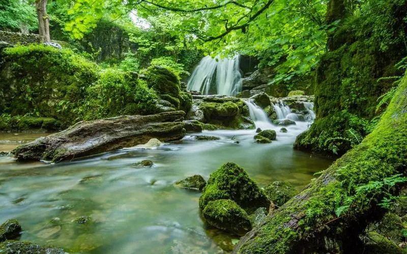 高精度独特高标准